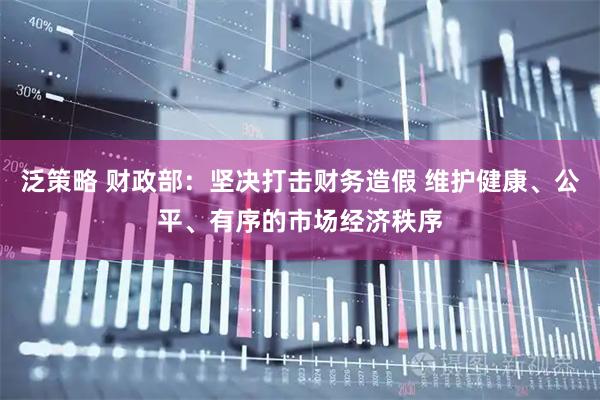 泛策略 财政部：坚决打击财务造假 维护健康、公平、有序的市场经济秩序