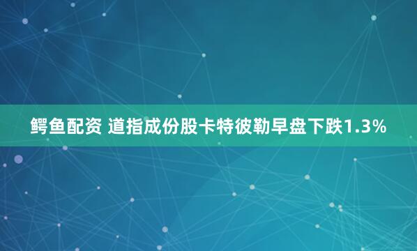 鳄鱼配资 道指成份股卡特彼勒早盘下跌1.3%