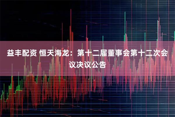 益丰配资 恒天海龙：第十二届董事会第十二次会议决议公告