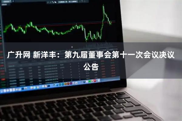 广升网 新洋丰：第九届董事会第十一次会议决议公告