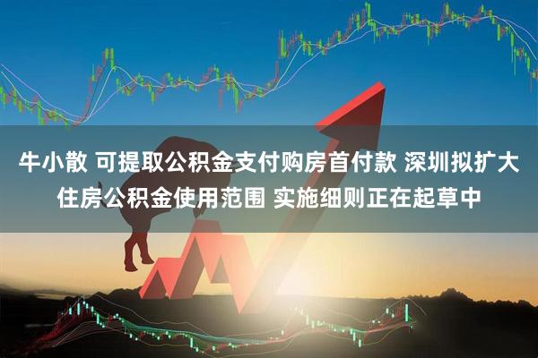 牛小散 可提取公积金支付购房首付款 深圳拟扩大住房公积金使用范围 实施细则正在起草中