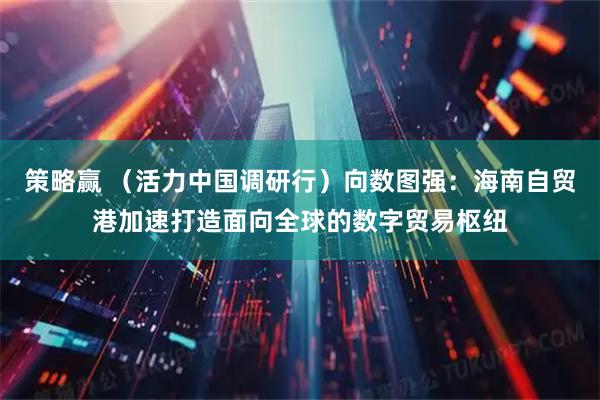 策略赢 （活力中国调研行）向数图强：海南自贸港加速打造面向全球的数字贸易枢纽
