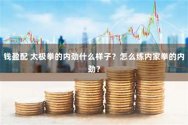 钱盈配 太极拳的内劲什么样子？怎么练内家拳的内劲？