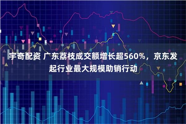 宇奇配资 广东荔枝成交额增长超560%，京东发起行业最大规模助销行动