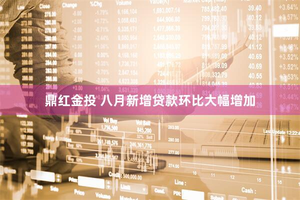 鼎红金投 八月新增贷款环比大幅增加