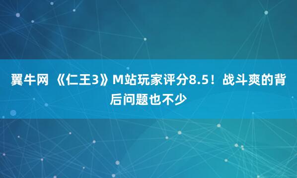 翼牛网 《仁王3》M站玩家评分8.5！战斗爽的背后问题也不少
