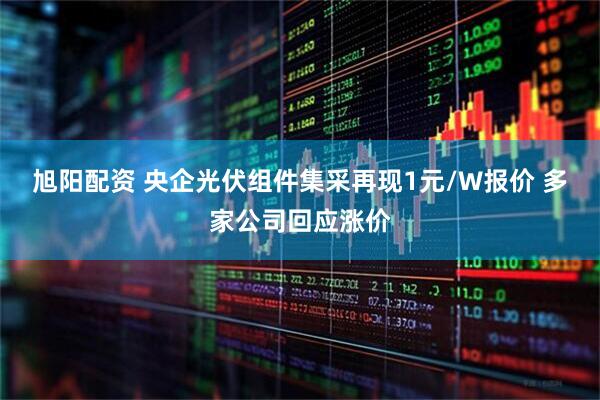 旭阳配资 央企光伏组件集采再现1元/W报价 多家公司回应涨价
